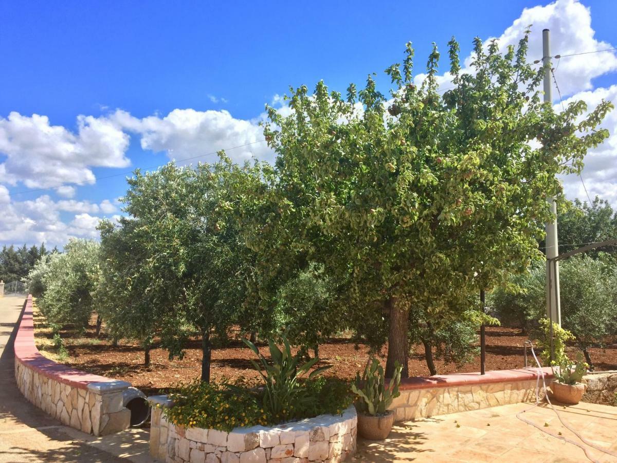 I Trulli Di Gina Appartamento Trullo 6 Persone Monopoli Exteriér fotografie